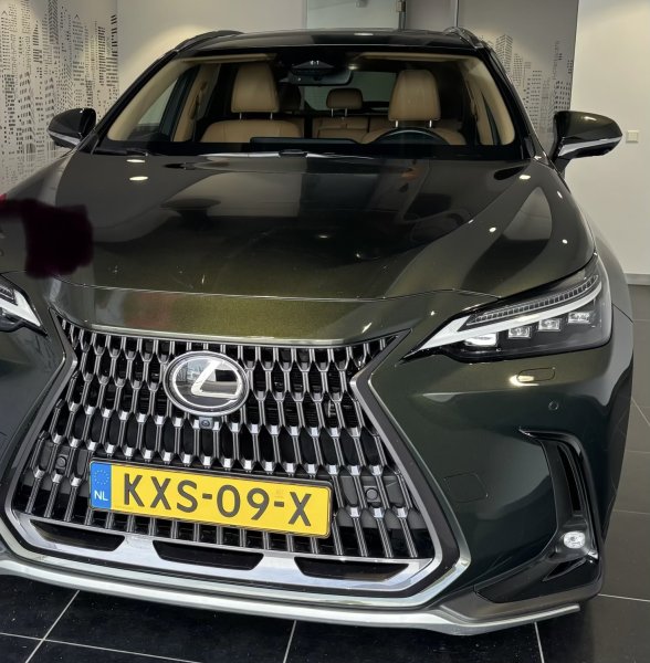 Gestolen Auto LEXUS KXS09X
