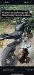 Gestolen Motorfiets DUCATI 36MXRR