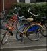 Gestolen Fiets Batavus