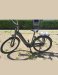 Gestolen Fiets Batavus