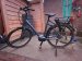 Gestolen Fiets Giant
