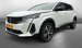 Gestolen Auto Peugeot X-795-LR