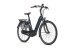 Gestolen Fiets Gazelle