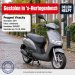 Gestolen Scooter PEUGEOT D029ZF